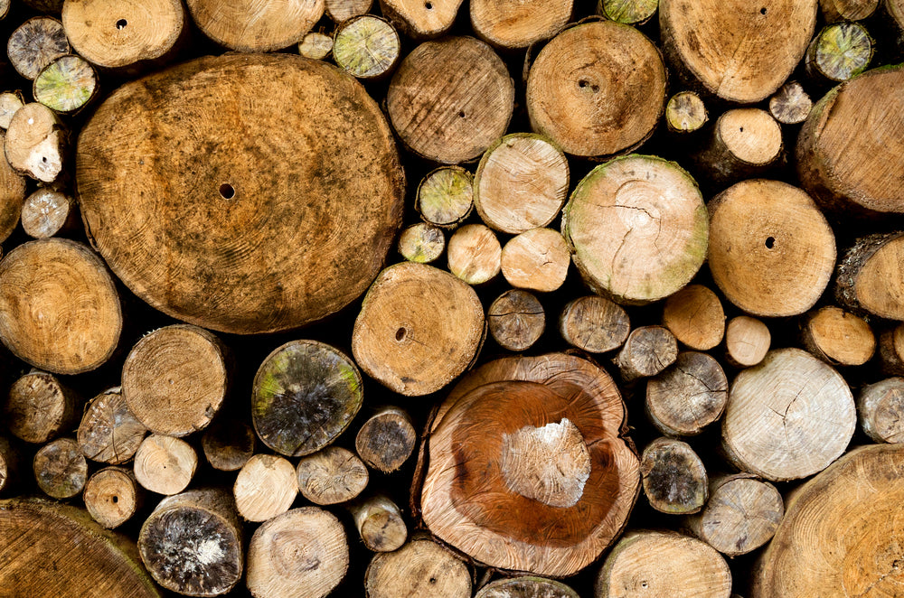 What type of Wood is the Best Accent for Rings?